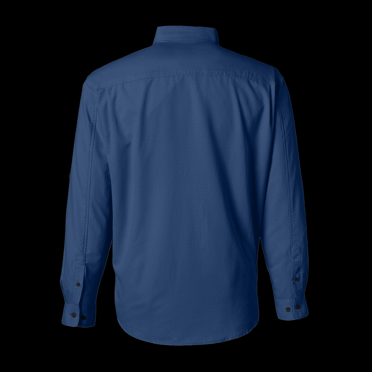 Back