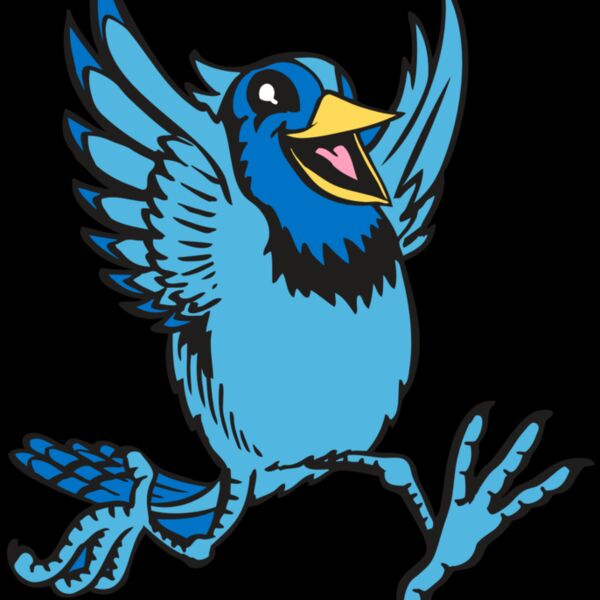 BAW BLUEJAY 09 RC Thumbnail