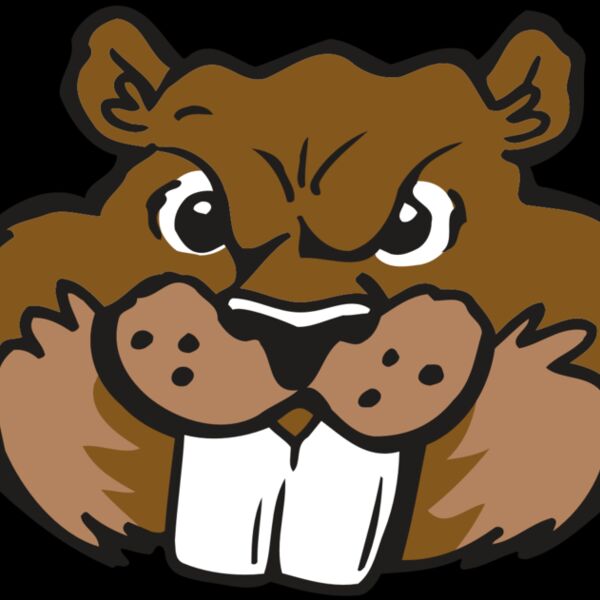 AR BEAVER 10 RC Thumbnail