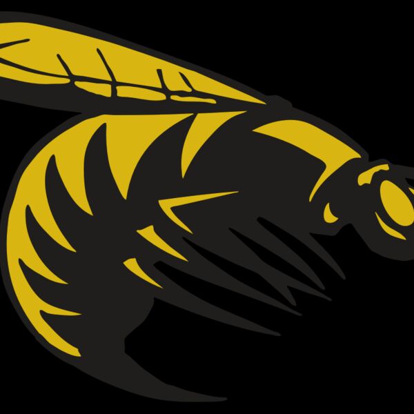 AR BEE 49 RC Thumbnail