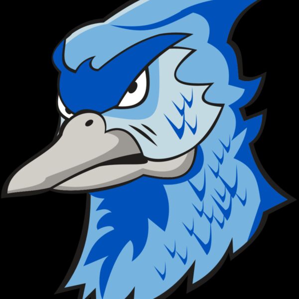 BLUEJAY HD0501 RQC Thumbnail