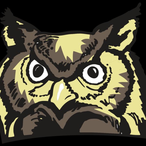 AR OWL 10 RC Thumbnail