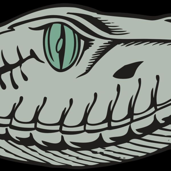 BAW SNAKE 10 RC Thumbnail