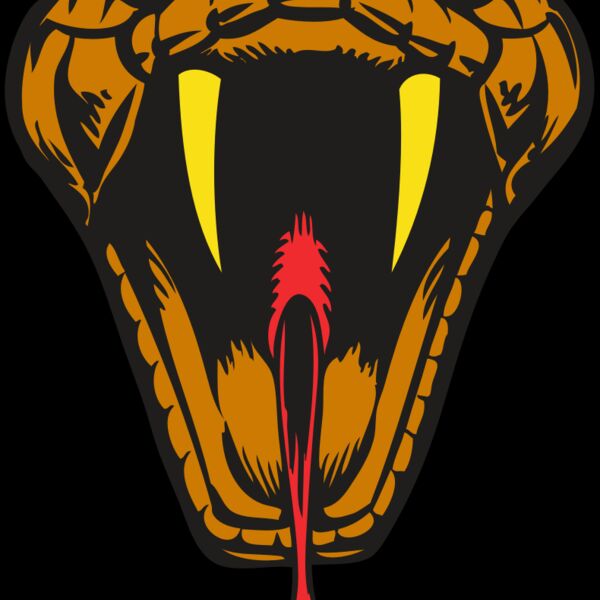 BAW SNAKE 05 RC Thumbnail