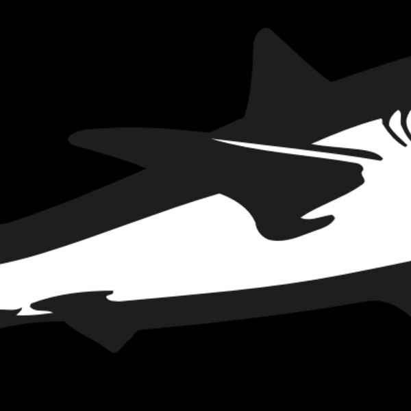 AR5 Shark 15 RQC Thumbnail