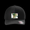 Rad Flexback Cap Thumbnail